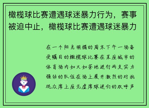 橄榄球比赛遭遇球迷暴力行为，赛事被迫中止，橄榄球比赛遭遇球迷暴力行为,赛事被迫中止